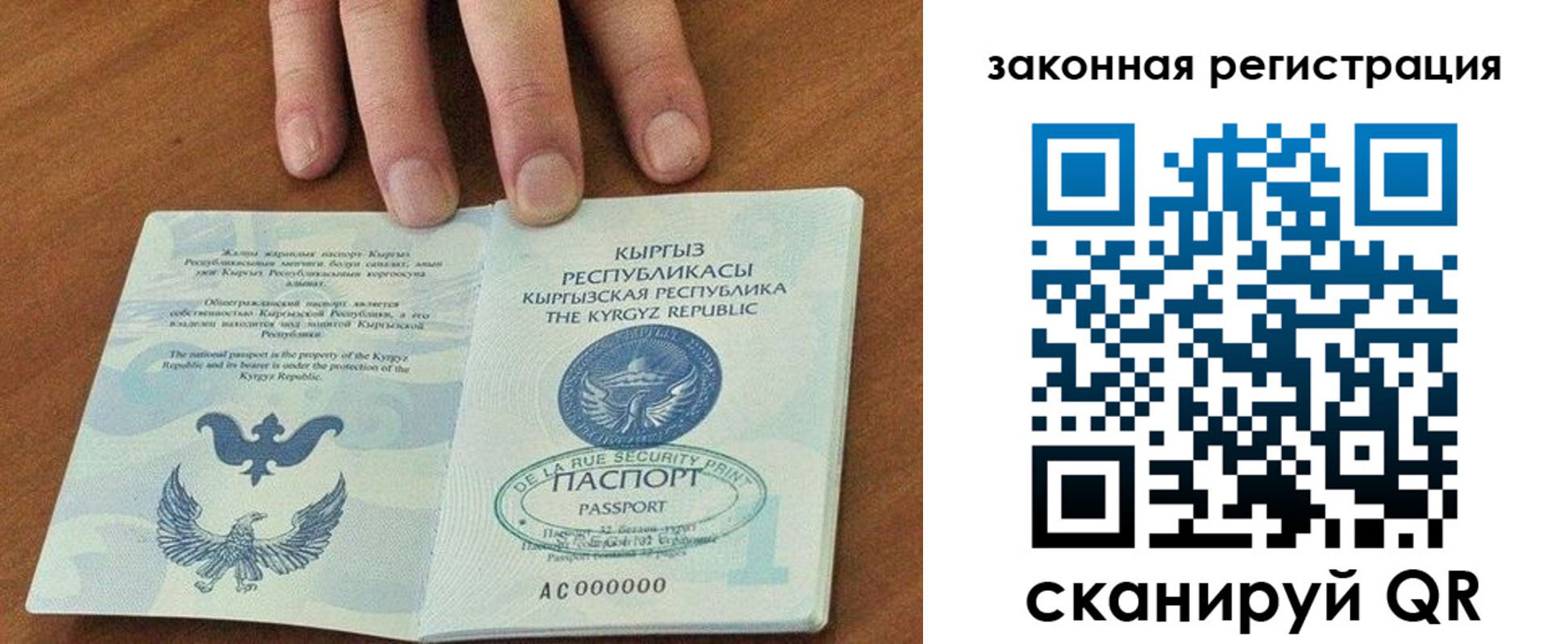прописка гарантия в Борзе