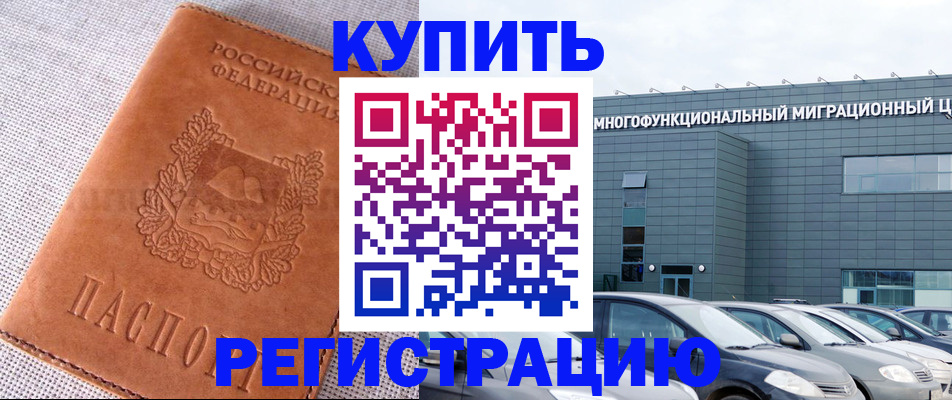 прописка законно в Борзе